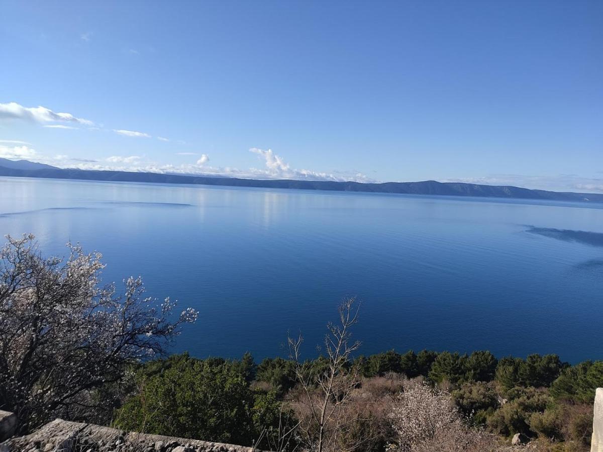 Apartman Krzenic With Sea View Podgora Exteriör bild